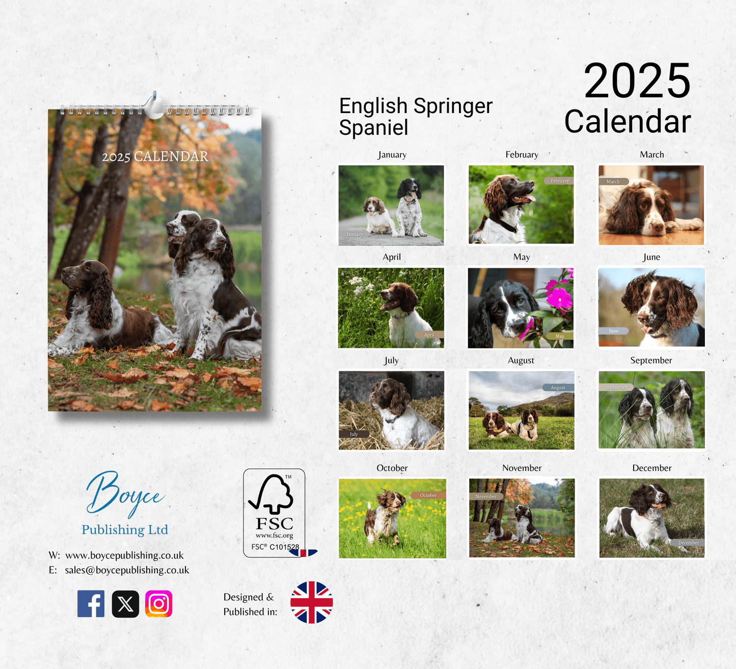 English Springer Spaniel Calendar 2025