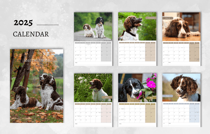 English Springer Spaniel Calendar 2025