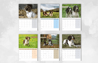 English Springer Spaniel Calendar 2025