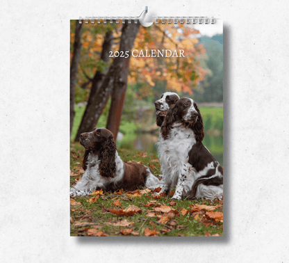 2025 English Springer Spaniel calendar featuring three brown and white springer spaniels sitting and laying in a field of grass surrounded by autumn leaves.