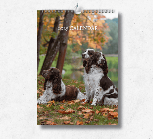 2025 English Springer Spaniel calendar featuring three brown and white springer spaniels sitting and laying in a field of grass surrounded by autumn leaves.