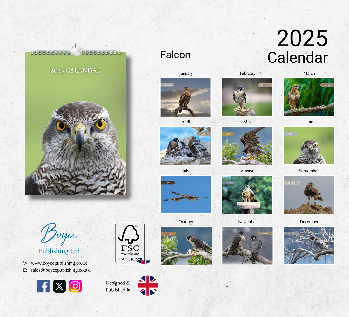 Falcon Calendar 2025