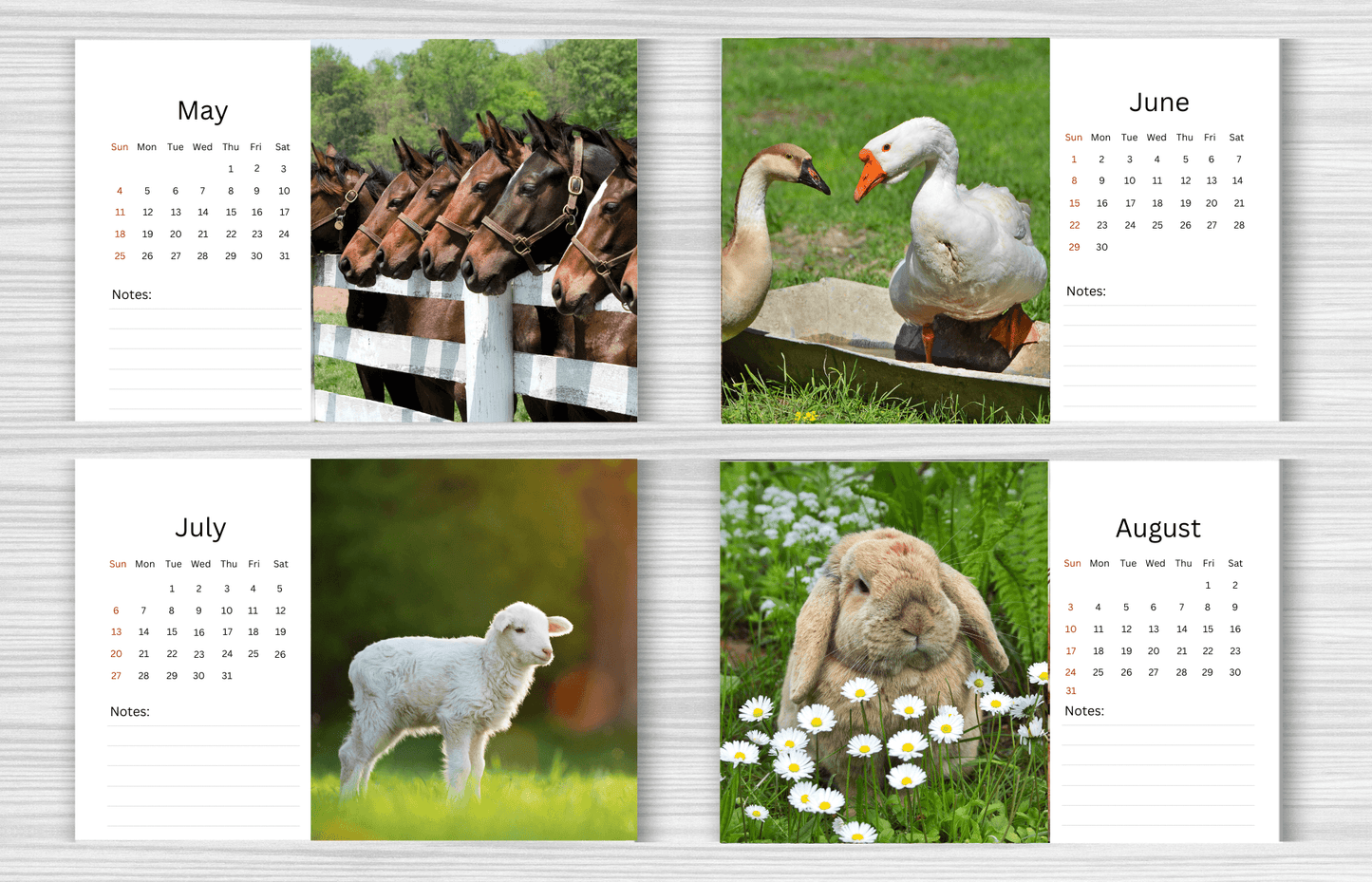 Farm Desk Calendar 2025