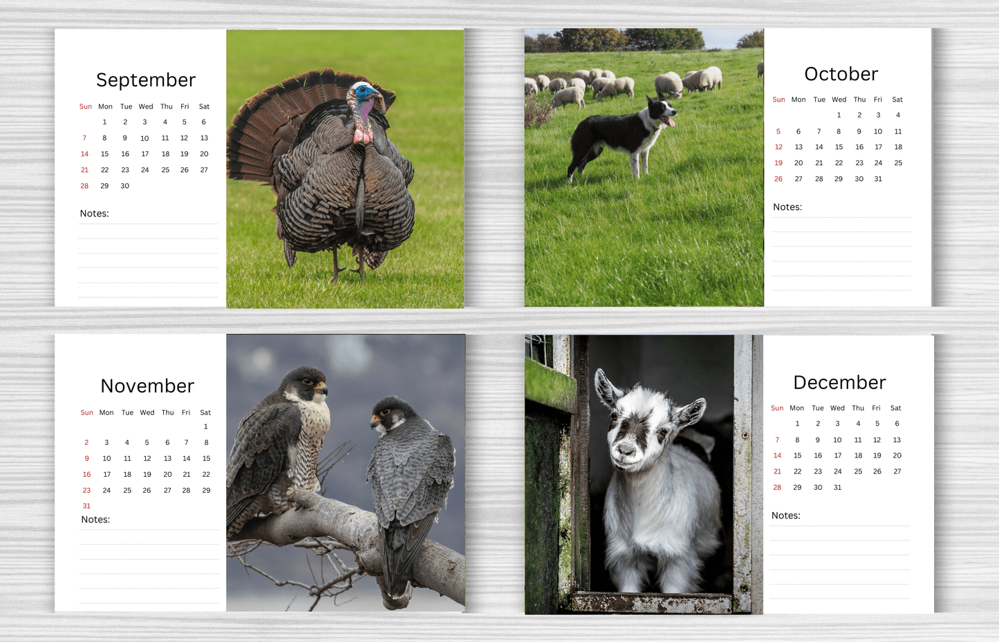 Farm Desk Calendar 2025