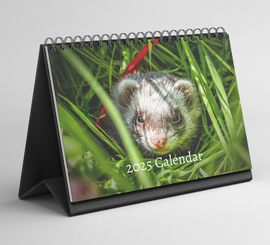 Ferret Desk Calendar 2025