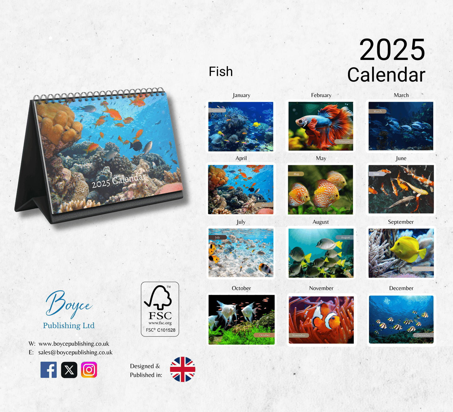 Fish Desk Calendar 2025