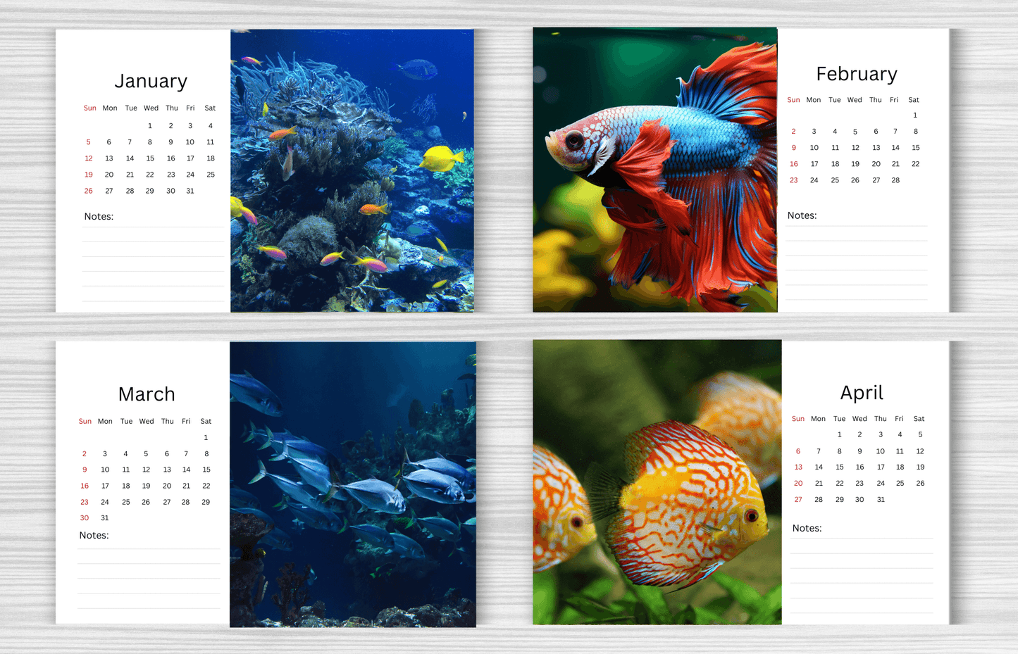 Fish Desk Calendar 2025