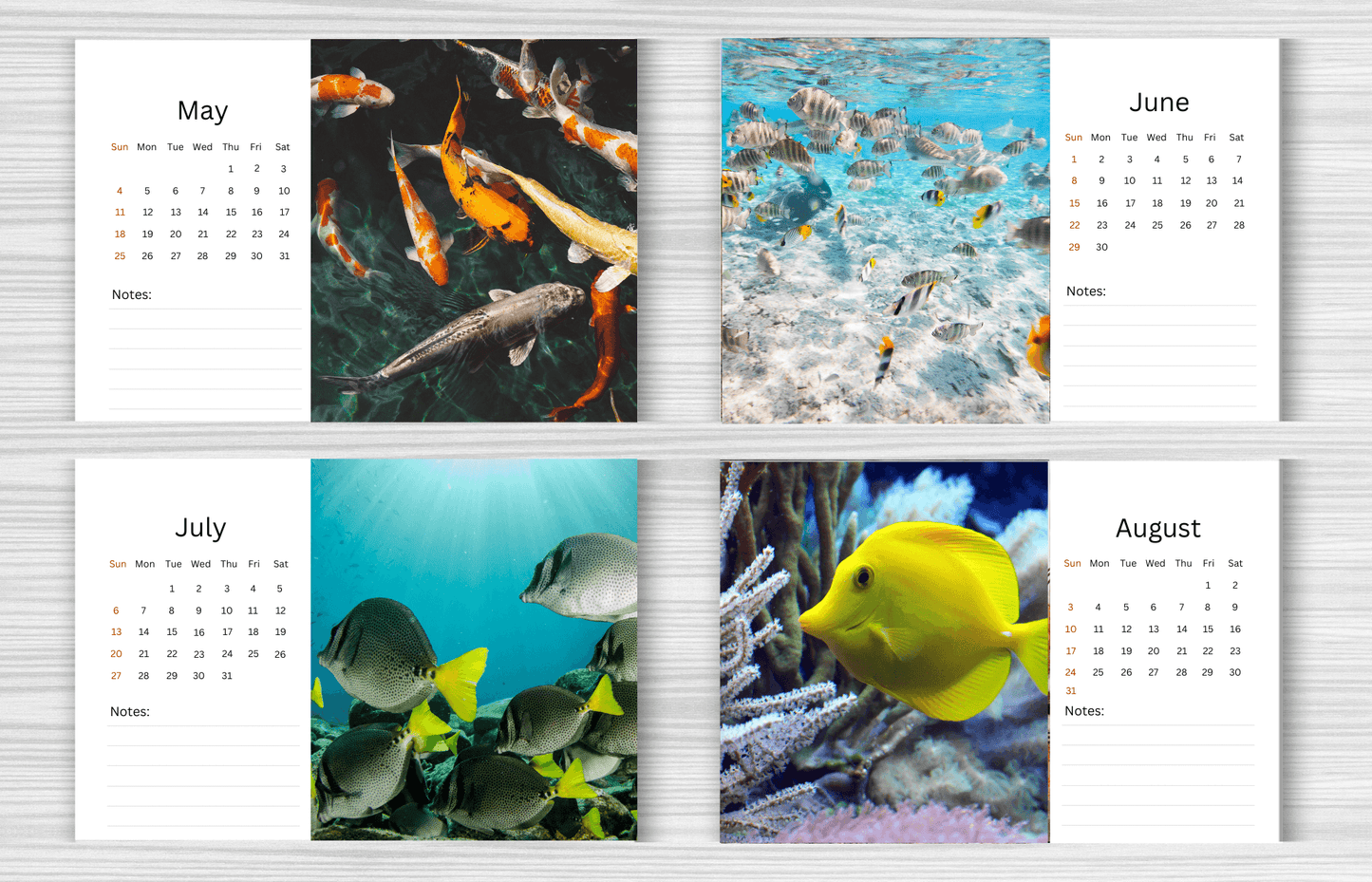 Fish Desk Calendar 2025