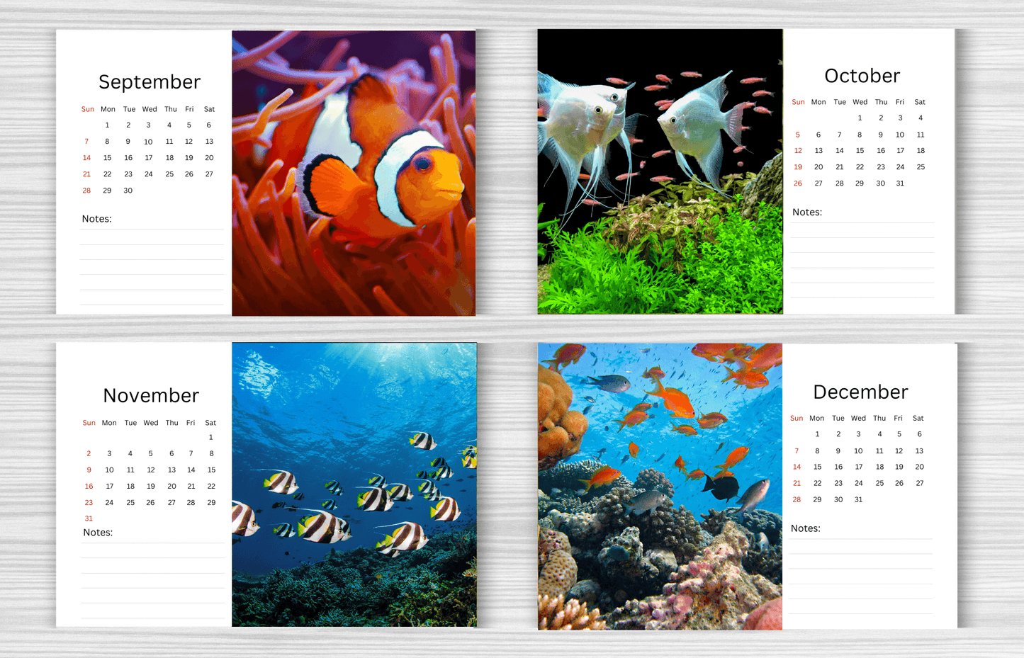 Fish Desk Calendar 2025