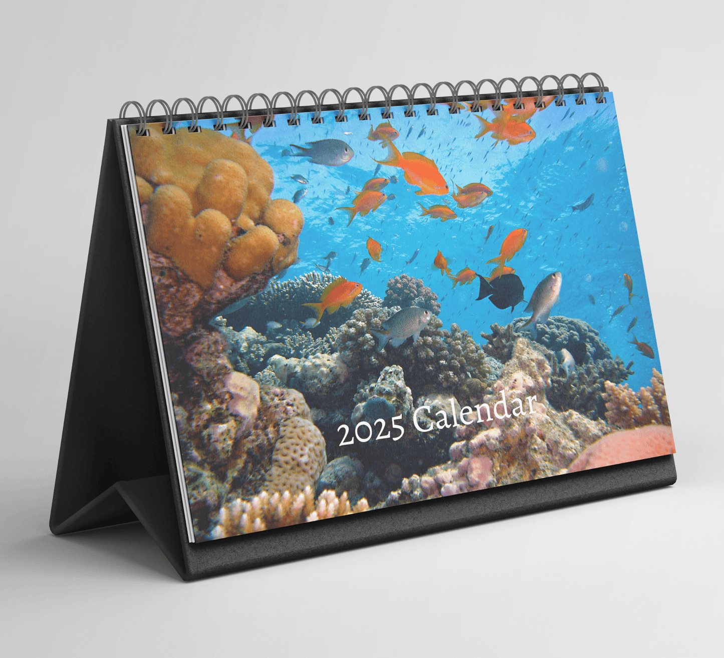 Fish Desk Calendar 2025