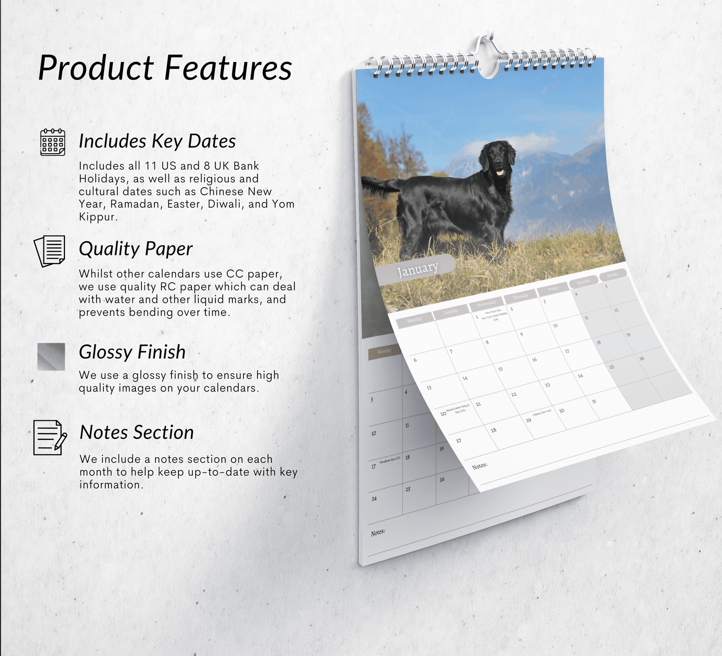 Flat Coated Retriever Calendar 2025