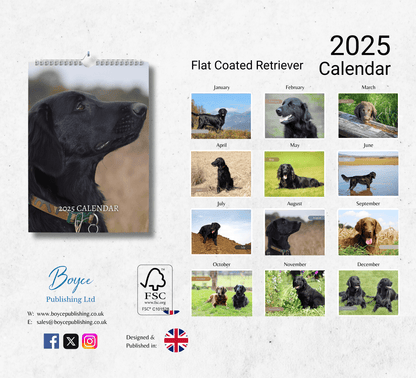 Flat Coated Retriever Calendar 2025