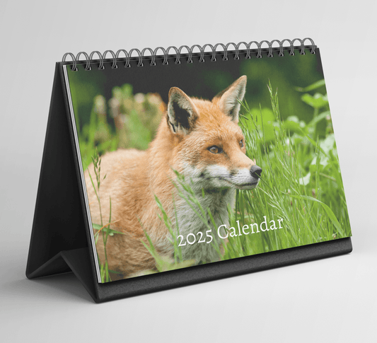 Fox Desk Calendar 2025