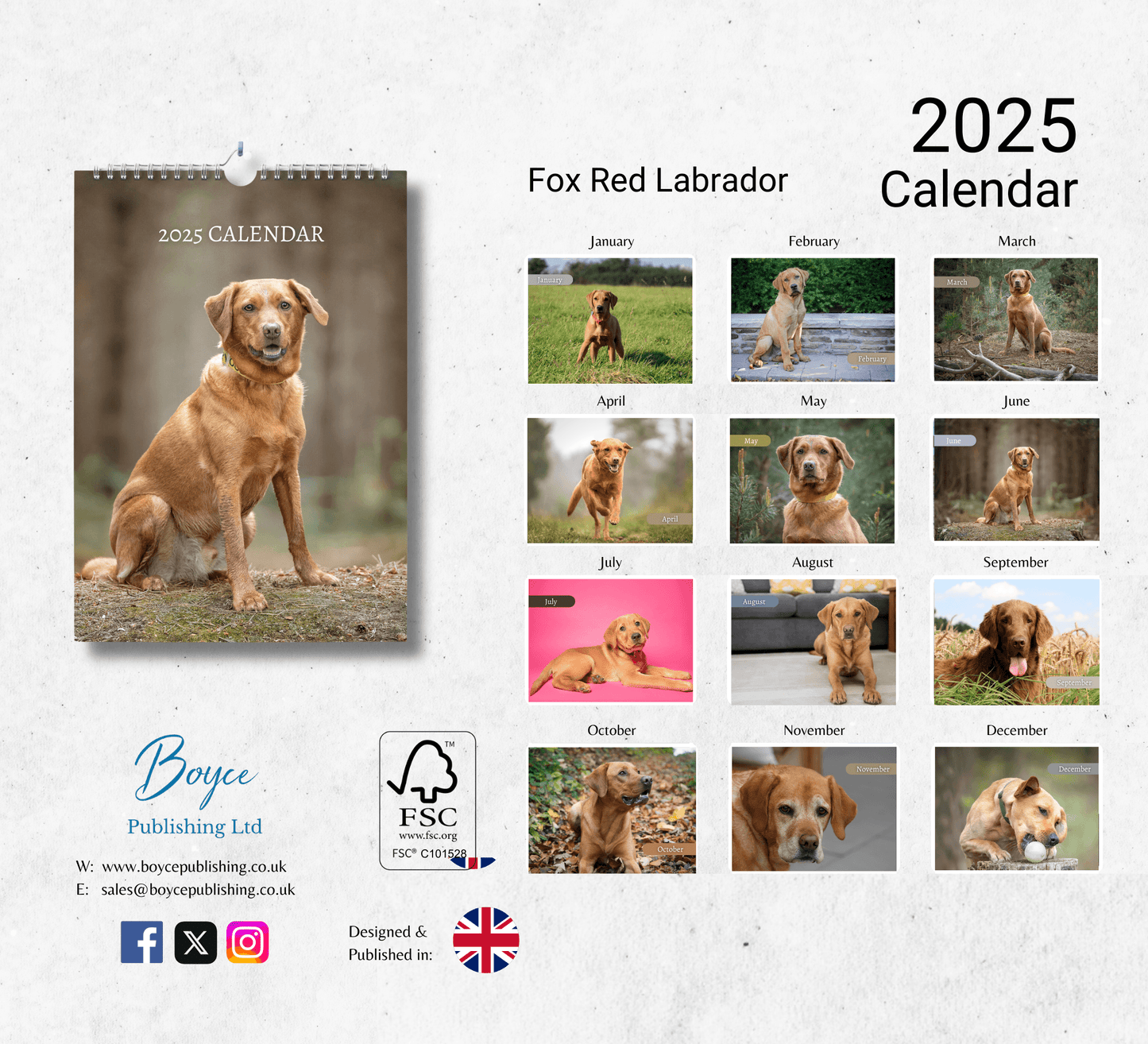 Fox Red Labrador Calendar 2025