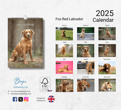 Fox Red Labrador Calendar 2025