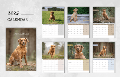 Fox Red Labrador Calendar 2025