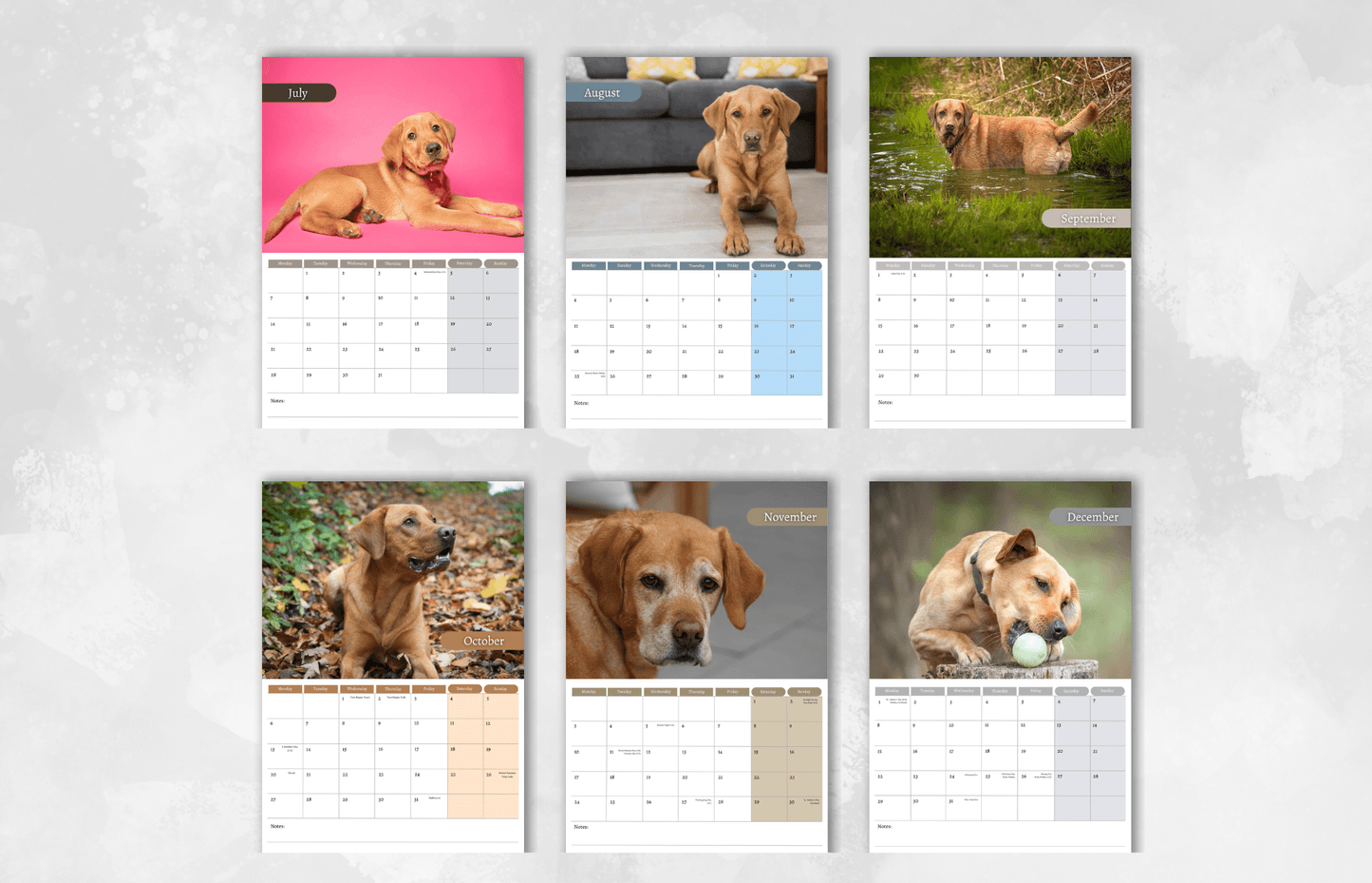 Fox Red Labrador Calendar 2025