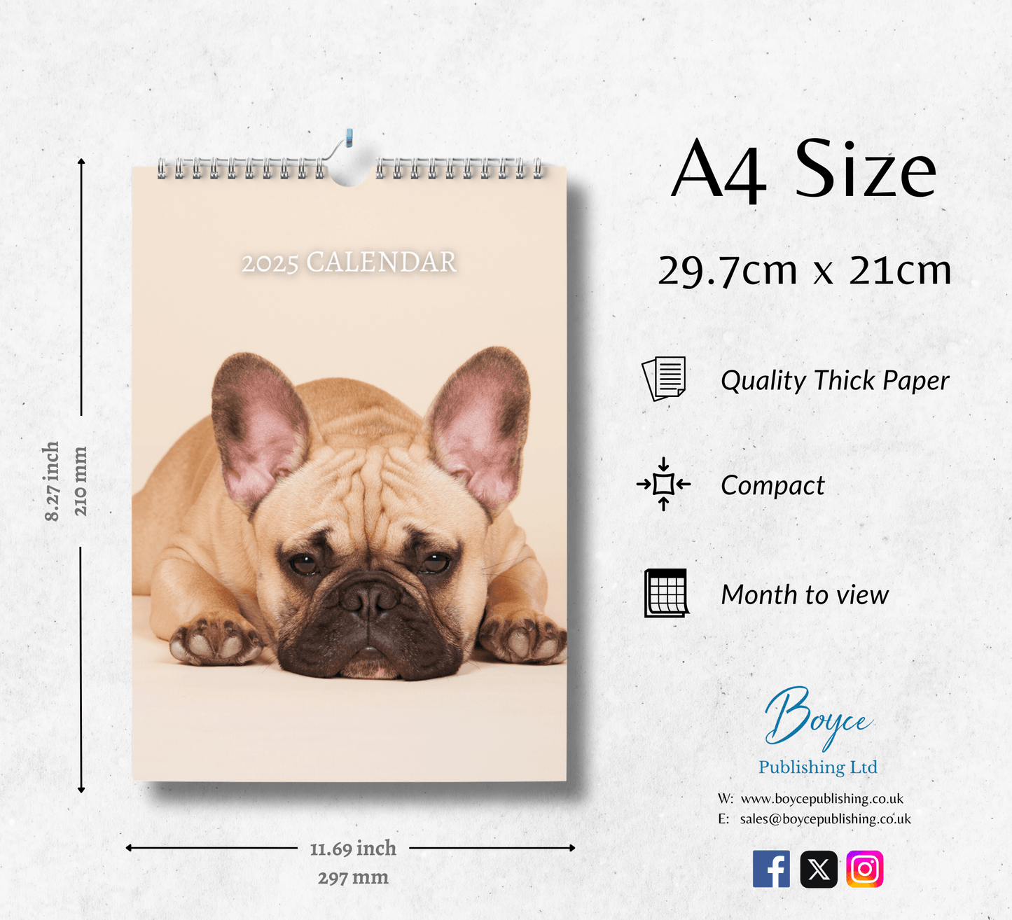 French Bulldog Calendar 2025