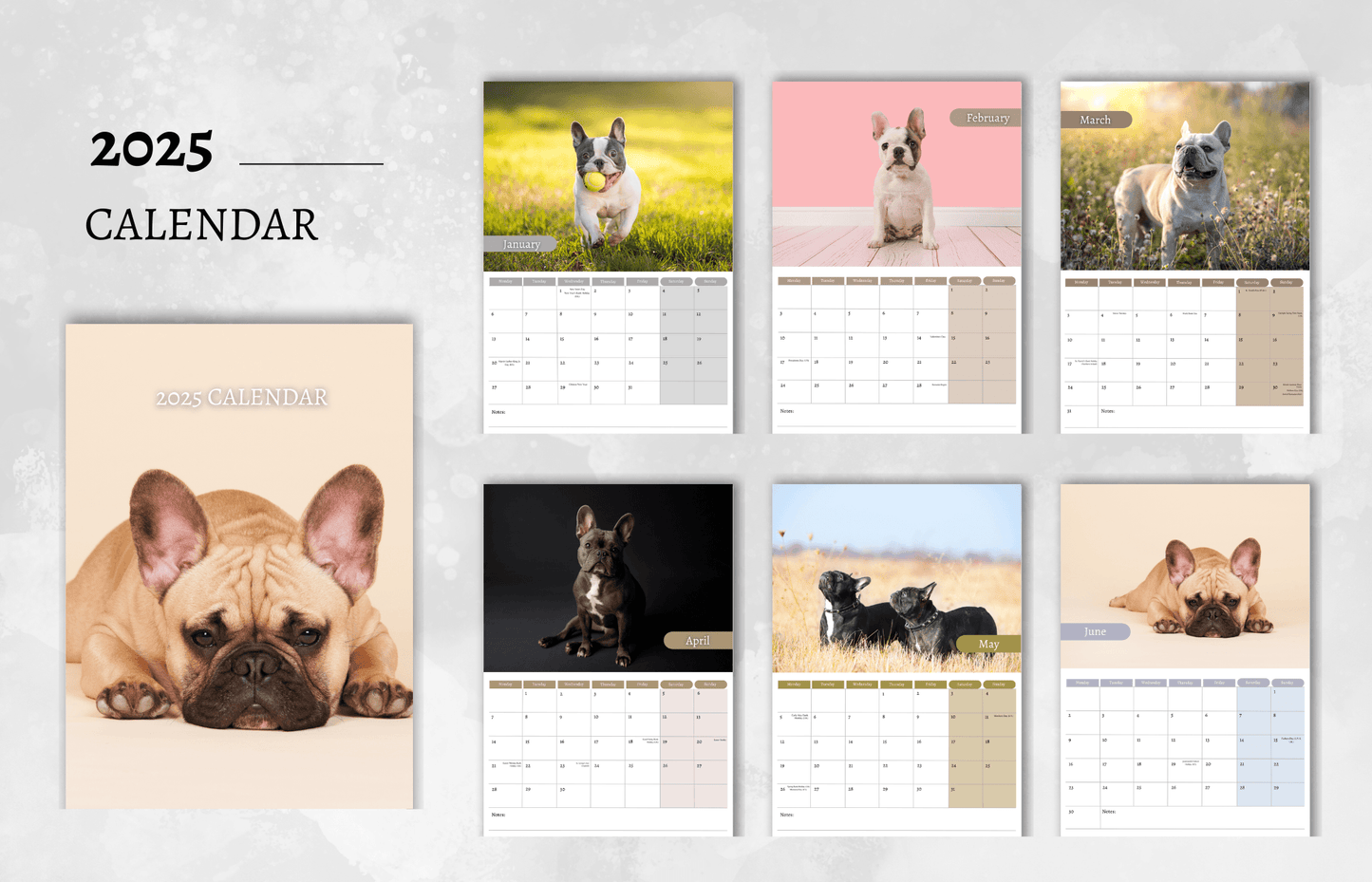 French Bulldog Calendar 2025