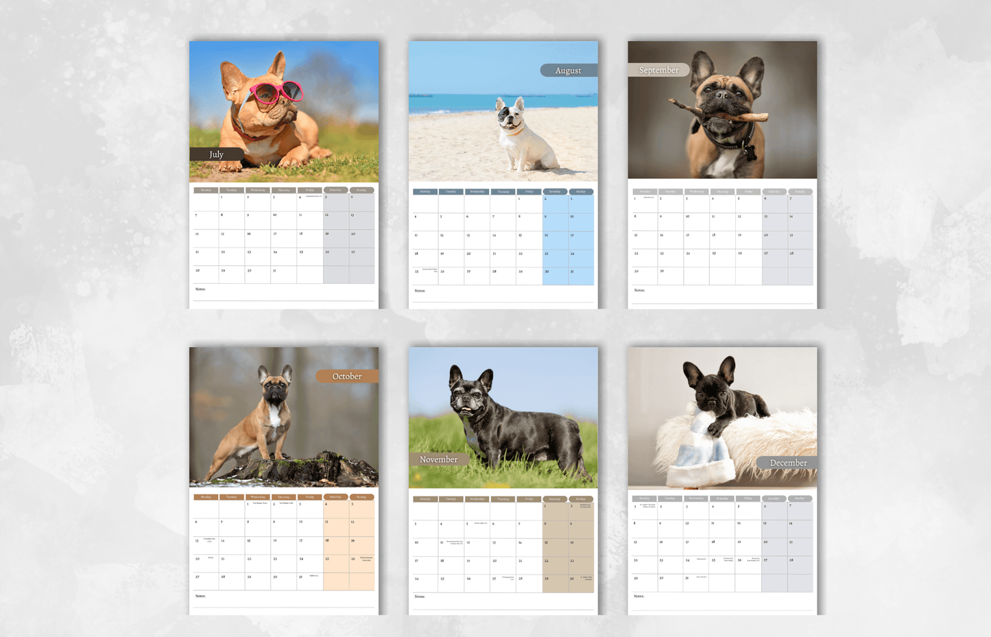 French Bulldog Calendar 2025