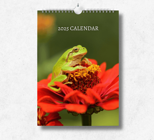 2025 Frog calendar featuring a green frog sitting on top of a blossoming red flower.