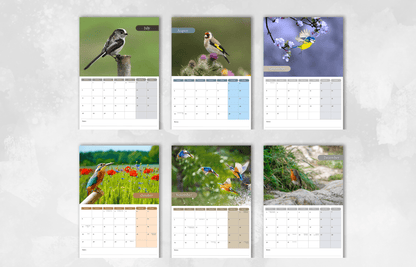 Garden Birds Calendar 2025