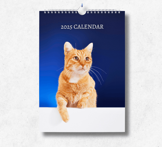 2025 Ginger Cat calendar featuring a ginger cat with their paw hanging over a low white wall, with a dark blue background.