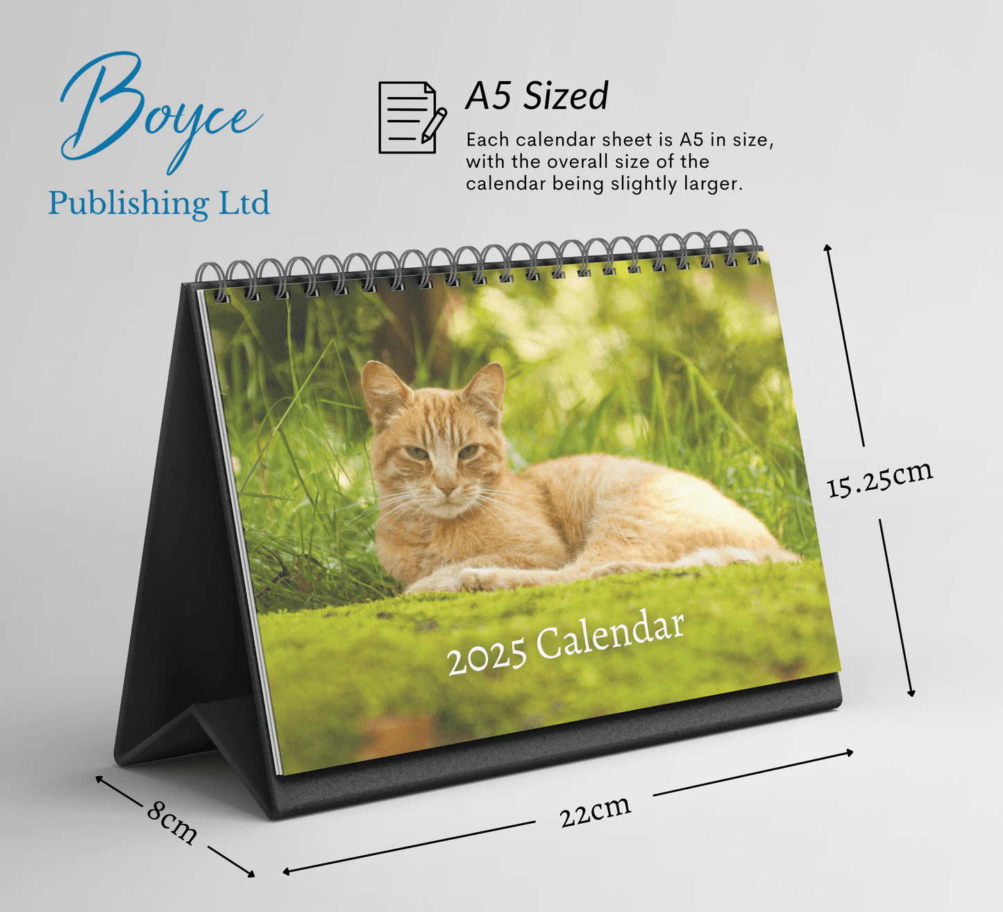 Ginger Cat Desk Calendar 2025