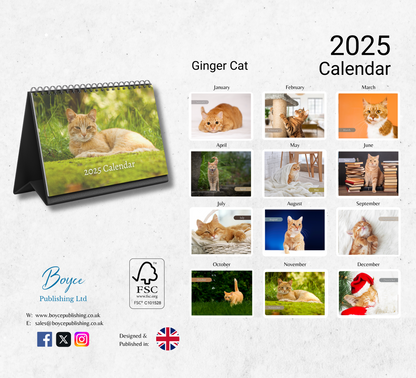 Ginger Cat Desk Calendar 2025