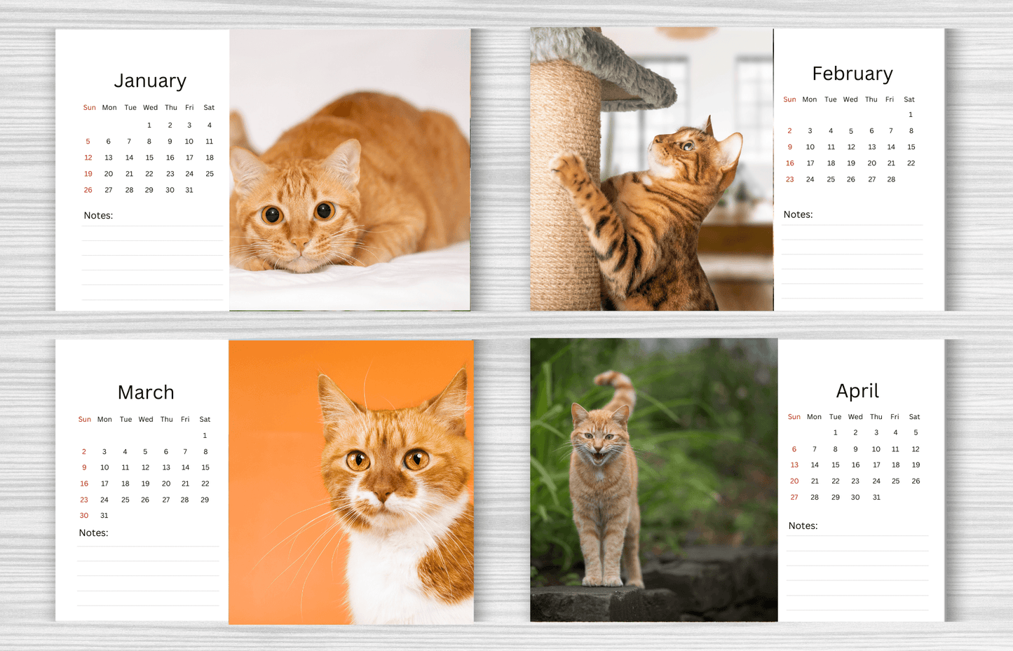 Ginger Cat Desk Calendar 2025