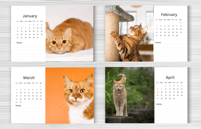 Ginger Cat Desk Calendar 2025