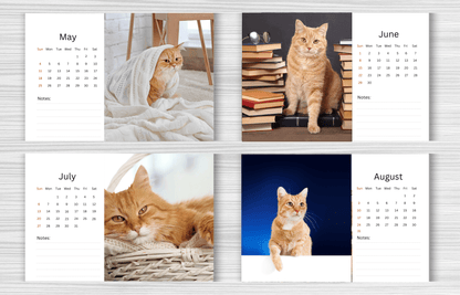 Ginger Cat Desk Calendar 2025