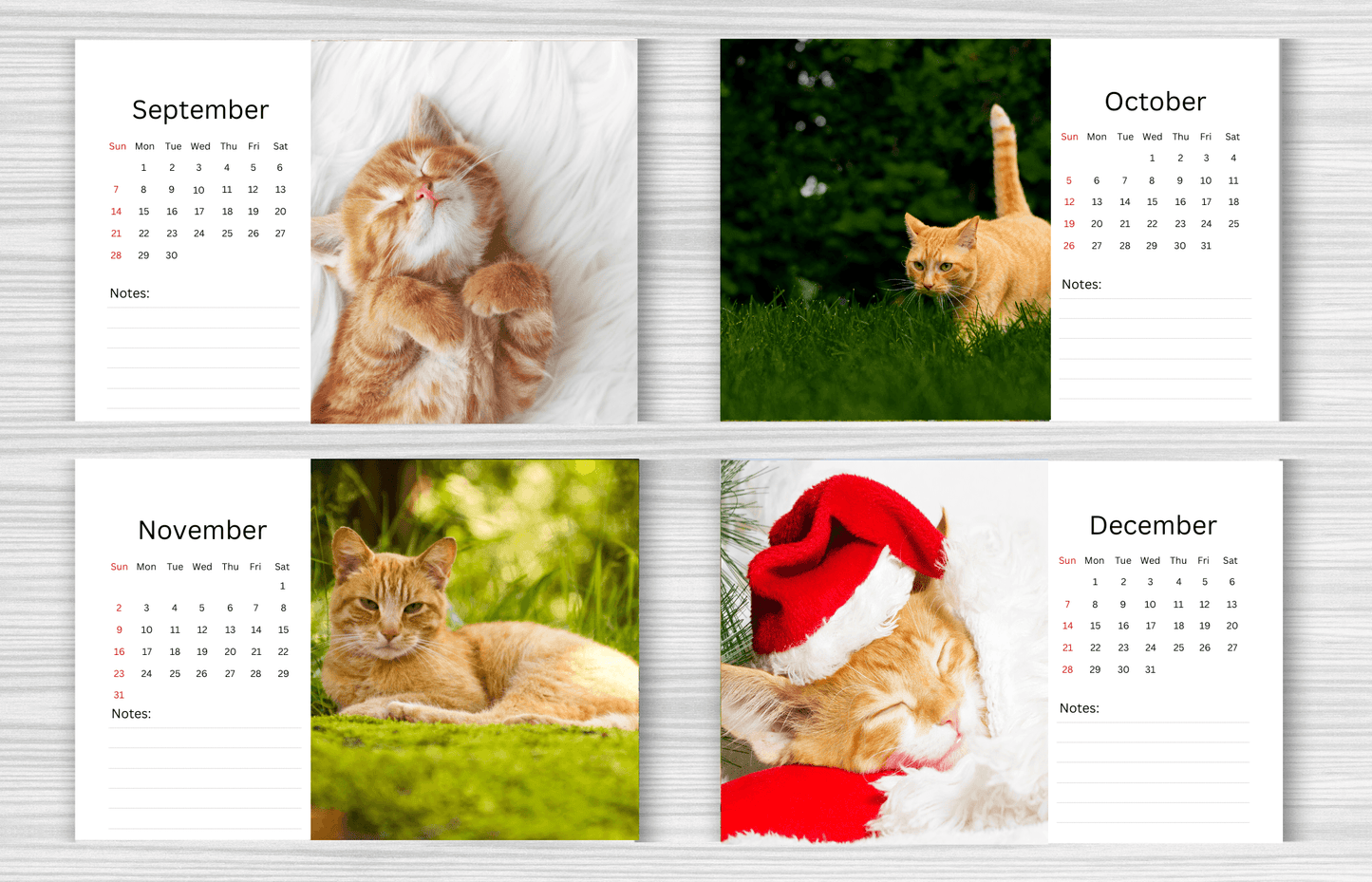 Ginger Cat Desk Calendar 2025