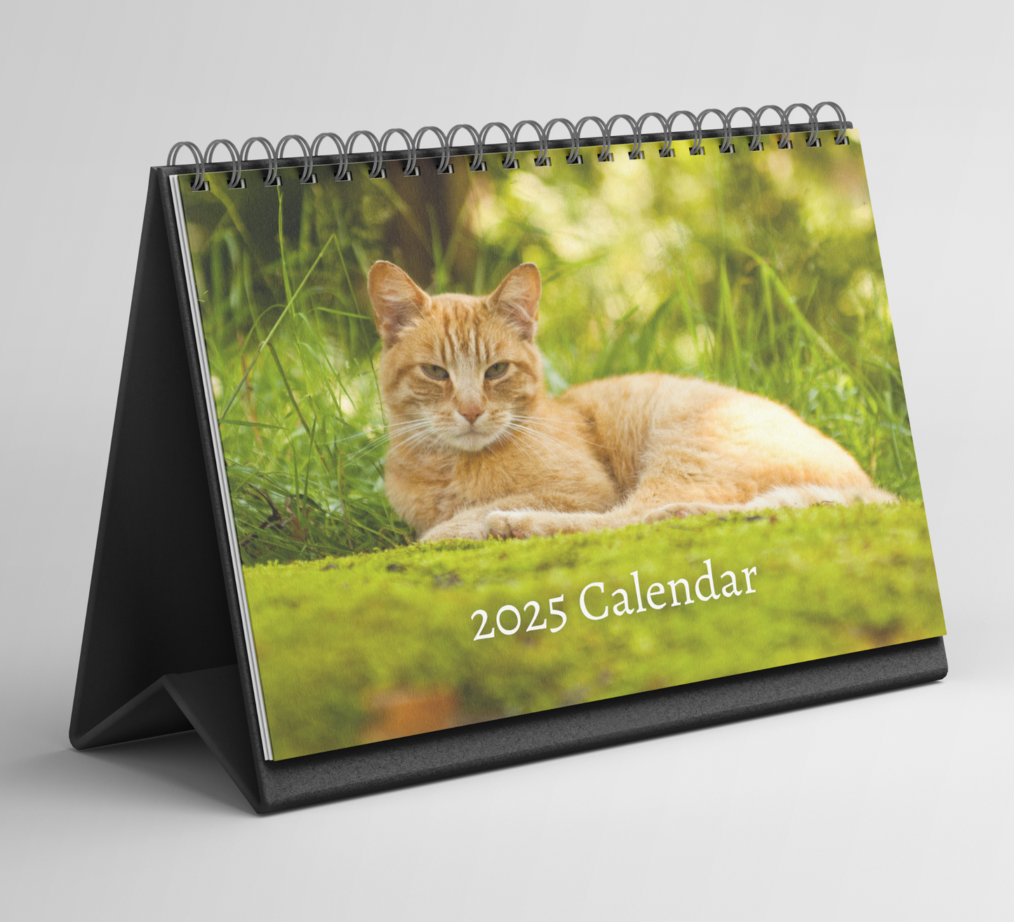 Ginger Cat Desk Calendar 2025