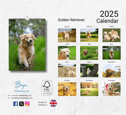 Golden Retriever Calendar 2025