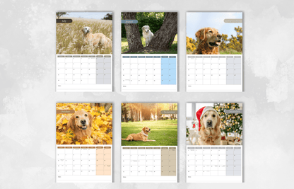 Golden Retriever Calendar 2025