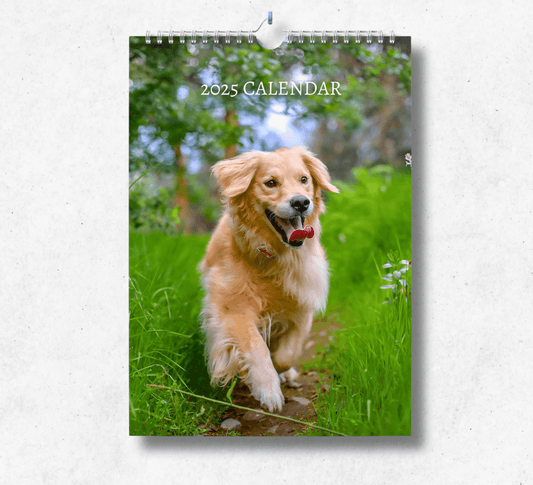 2025 Golden Retriever calendar featuring a golden retriever running through a field of trees, with their tongue hanging out.