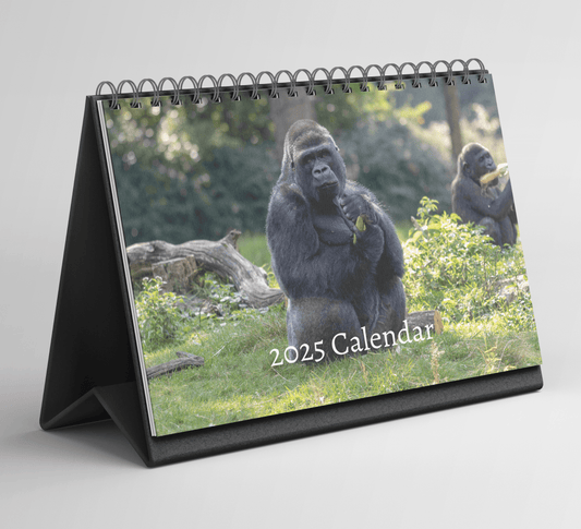 Gorilla Desk Calendar 2025