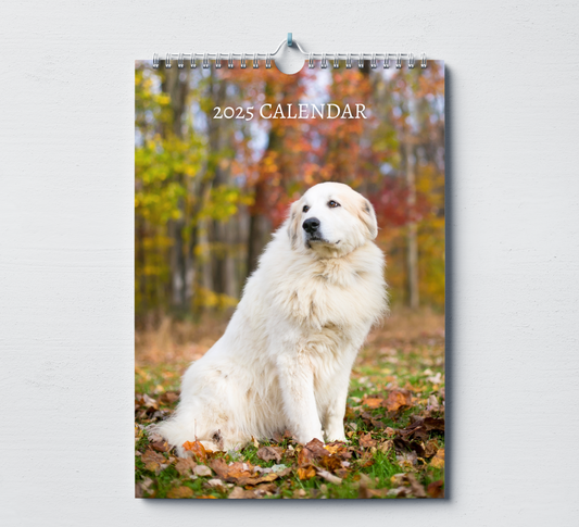 Great Pyrenees Calendar 2025