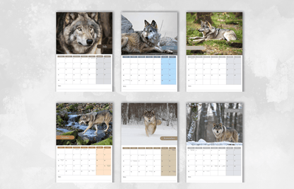 Grey Wolf Calendar 2025