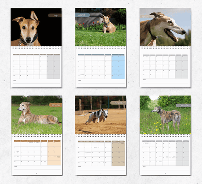 Greyhound Calendar 2025