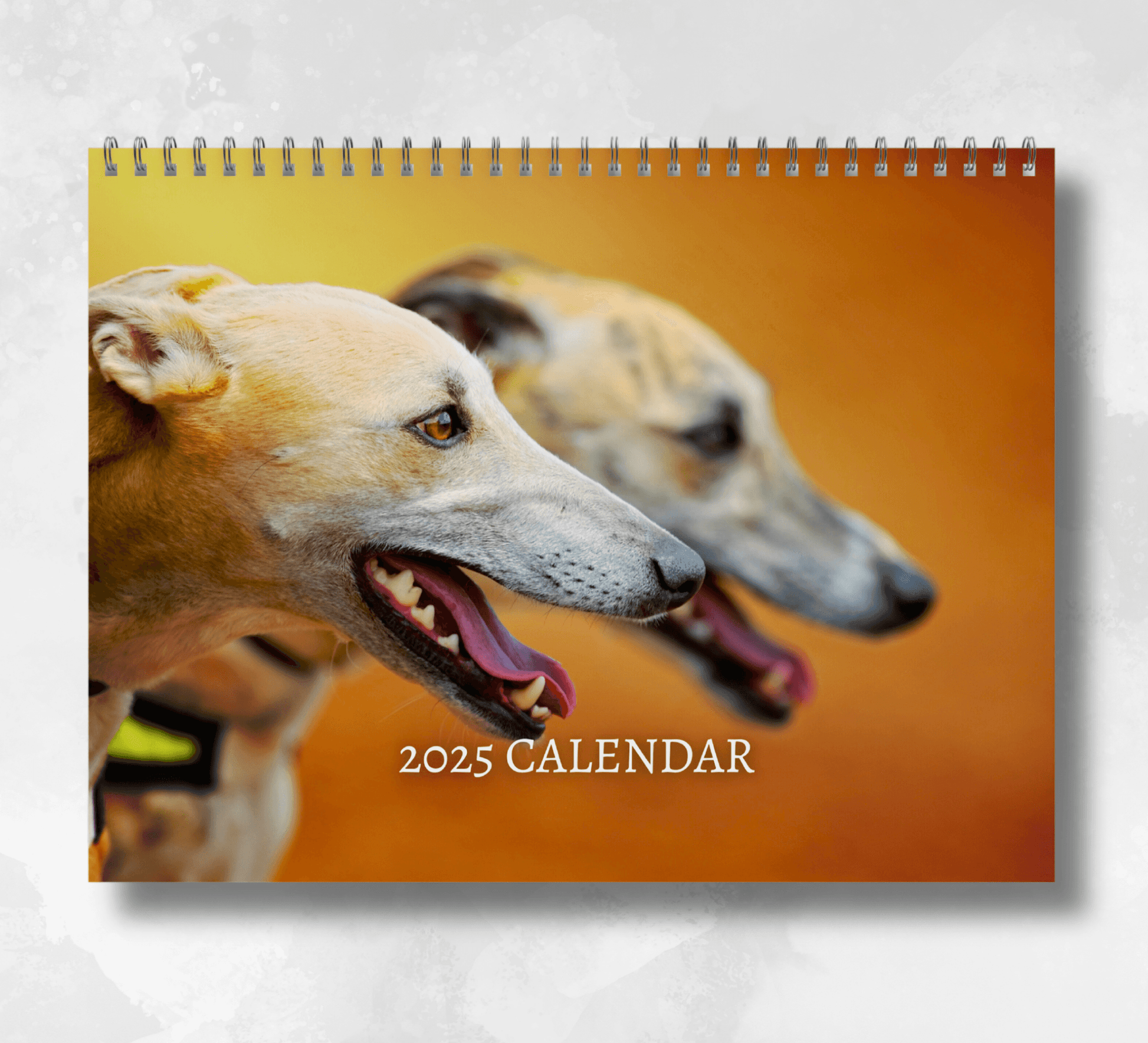 2025 Greyhound calendar featuring a close-up image of two greyhounds with their mouths open upon an orange background.