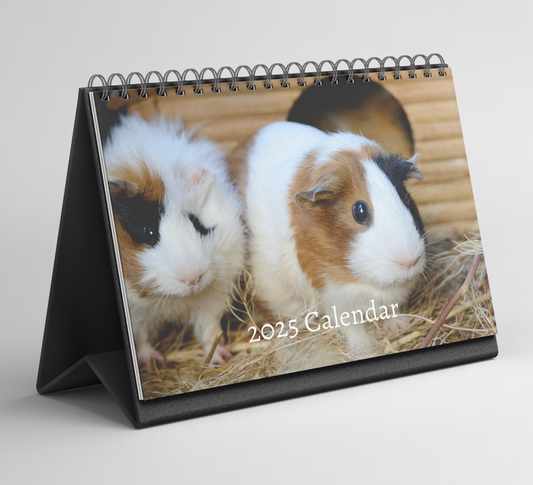 Guinea Pig Desk Calendar 2025