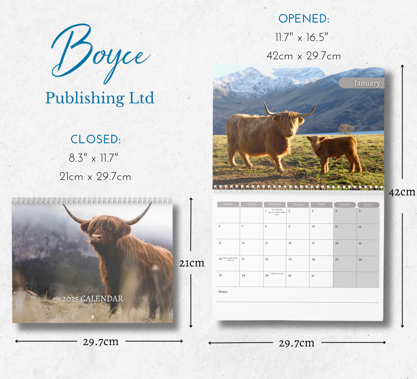 Highland Cow Calendar 2025