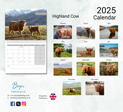 Highland Cow Calendar 2025