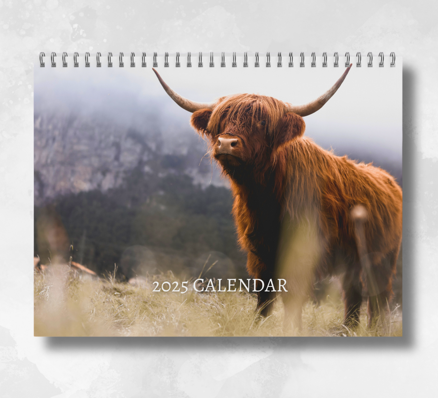 2025 Highland Cow Calendar featuring a picturesque cover image of a Highland cow in a yellow grassy field, with a mountainous background.