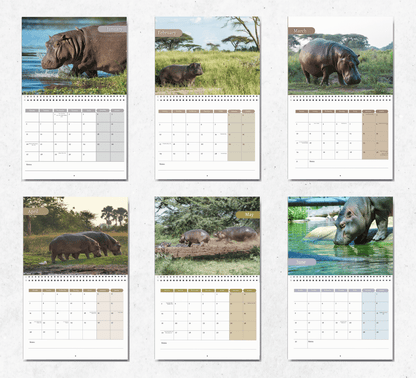 Hippo Calendar 2025