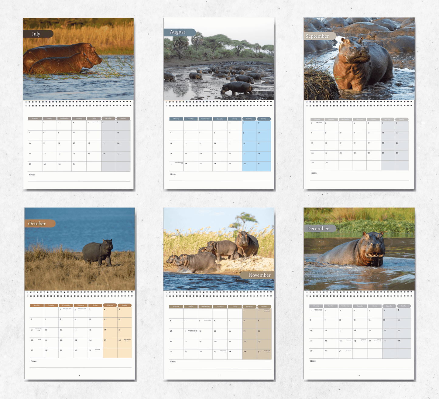 Hippo Calendar 2025
