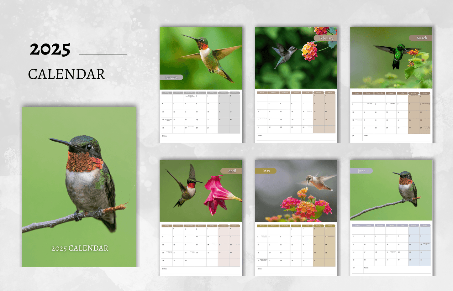 Hummingbird Calendar 2025