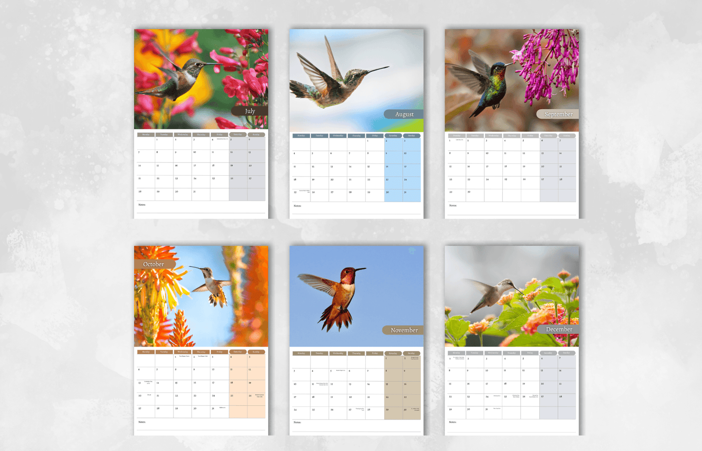 Hummingbird Calendar 2025